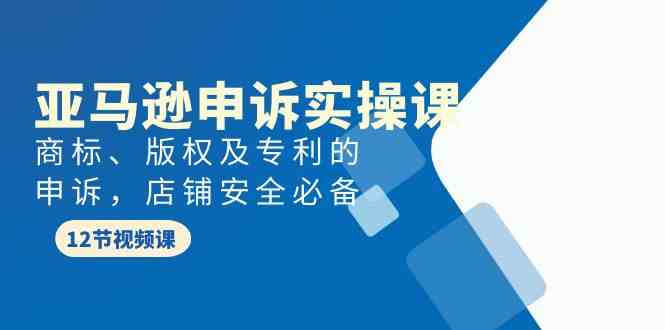 (9754期)亚马逊-申诉实战课,商标、版权及专利的申诉,店铺安全必备-优优云网创