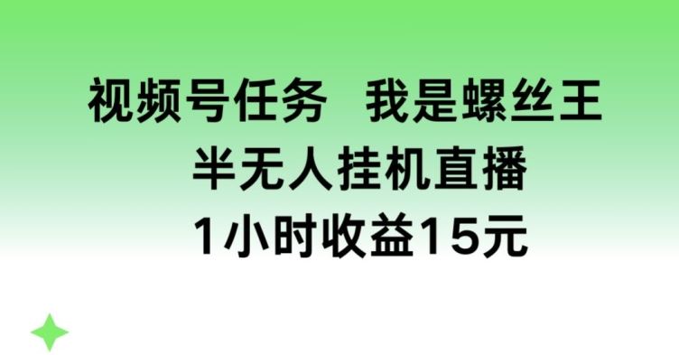 视频号任务,我是螺丝王, 半无人挂机1小时收益15元【揭秘】-优优云网创