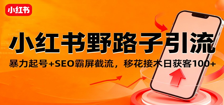小红书野路子引流，暴力起号+SEO霸屏截流，移花接木日获客100+-优优云网创