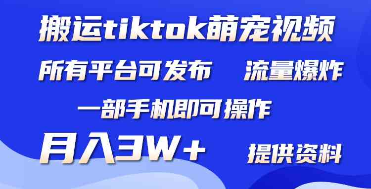 (9618期)搬运Tiktok萌宠类视频,一部手机即可。所有短视频平台均可操作,月入3W+-优优云网创