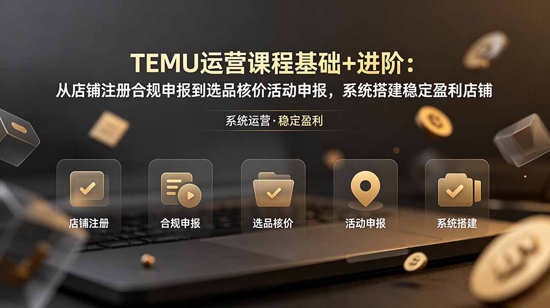 TEMU运营课程(基础+进阶-优优云网创