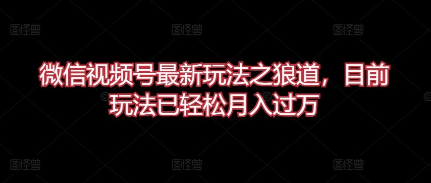 微信视频号最新玩法之狼道,目前玩法已轻松月入过万【揭秘】-优优云网创