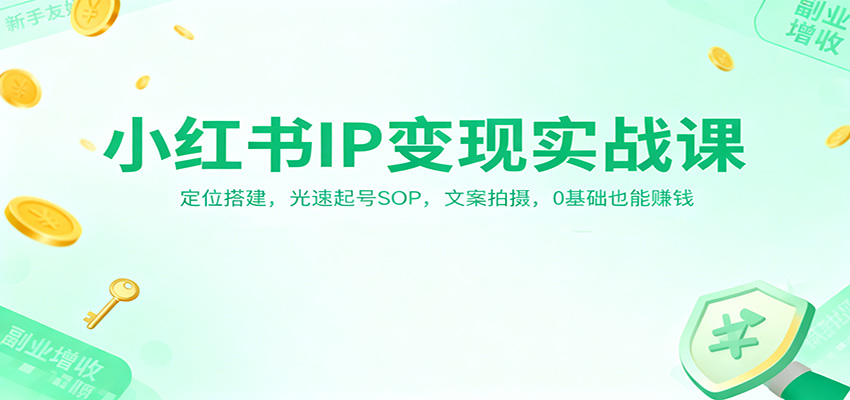 小红书IP变现实战课:定位搭建,光速起号SOP,文案拍摄,0基础也能赚钱-优优云网创