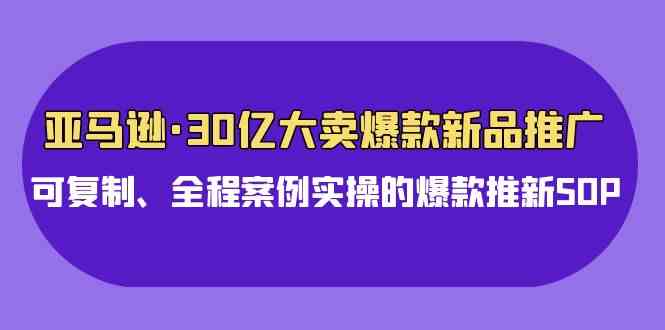(9944期)亚马逊30亿·大卖爆款新品推广,可复制、全程案例实操的爆款推新SOP-优优云网创