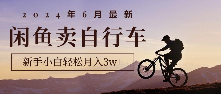 (10915期)2024年6月最新闲鱼卖自行车,新手小白轻松月入3w+项目-优优云网创