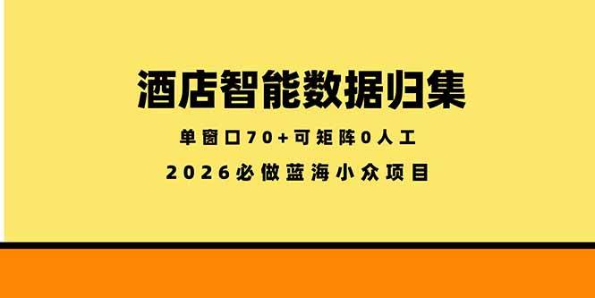 (18500期)酒店智能数据归集,小众蓝海已经稳定半年之久,单窗口70+零成本矩阵开干-优优云网创