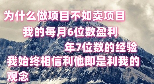 做项目不如卖项目,每月6位数盈利,年7位数经验-优优云网创