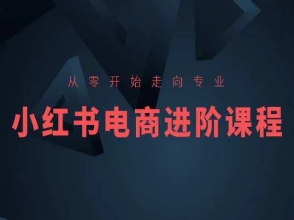 从零开始走向专业,小红书电商进阶课程-优优云网创