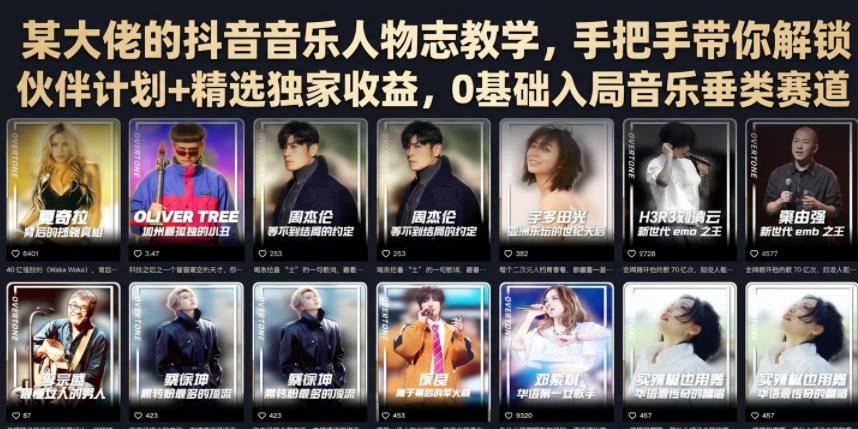 某大佬的抖音音乐人物志教学,手把手带你解锁伙伴计划+精选独家收益,0基础入局音乐垂类赛道-优优云网创