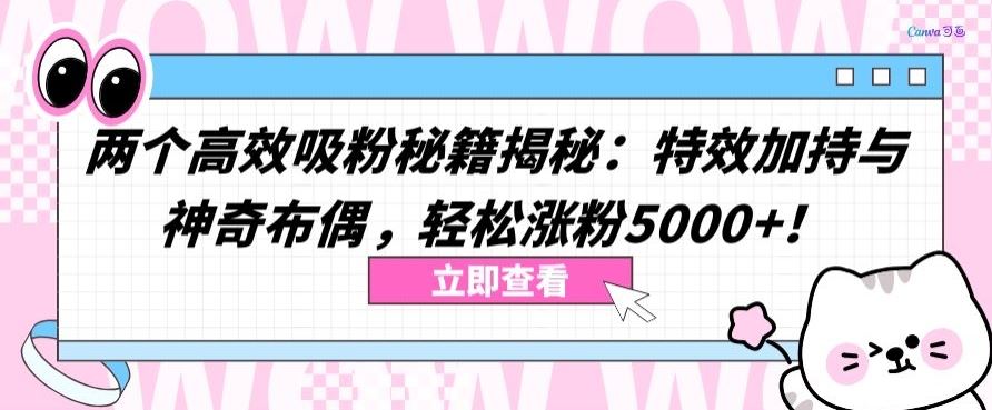 两个高效吸粉秘籍揭秘:特效加持与神奇布偶,轻松涨粉5000+【揭秘】-优优云网创