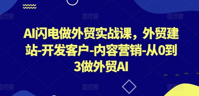 AI闪电做外贸实战课,外贸建站-开发客户-内容营销-从0到3做外贸AI-优优云网创