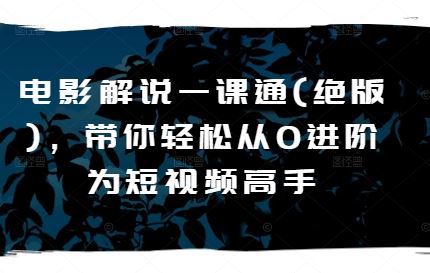 电影解说一课通(绝版),带你轻松从0进阶为短视频高手-优优云网创
