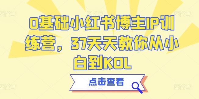 0基础小红书博主IP训练营,37天天教你从小白到KOL-优优云网创