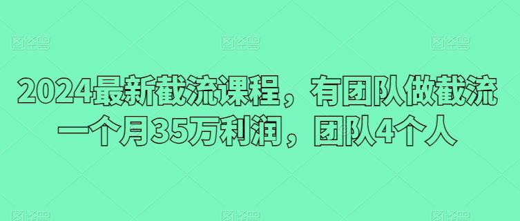 2024最新截流课程,有团队做截流一个月35万利润,团队4个人-优优云网创