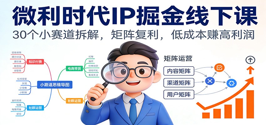 微利时代IP掘金线下课:30个小赛道拆解,矩阵复利,低成本赚高利润-优优云网创