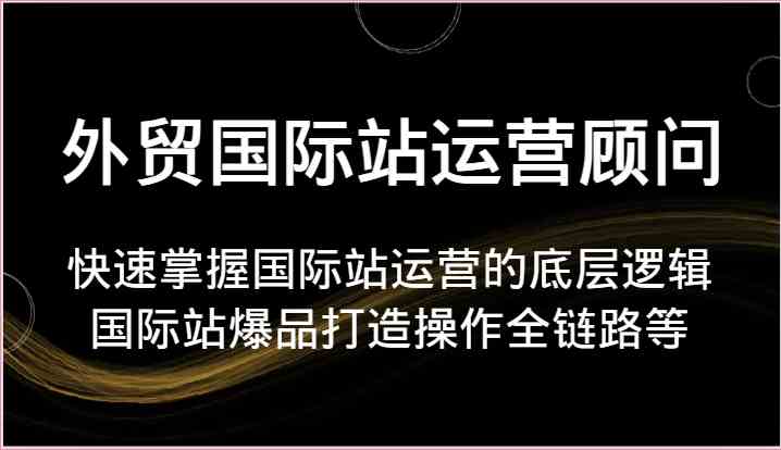 外贸国际站运营顾问-快速掌握国际站运营的底层逻辑,国际站爆品打造操作全链路等-优优云网创