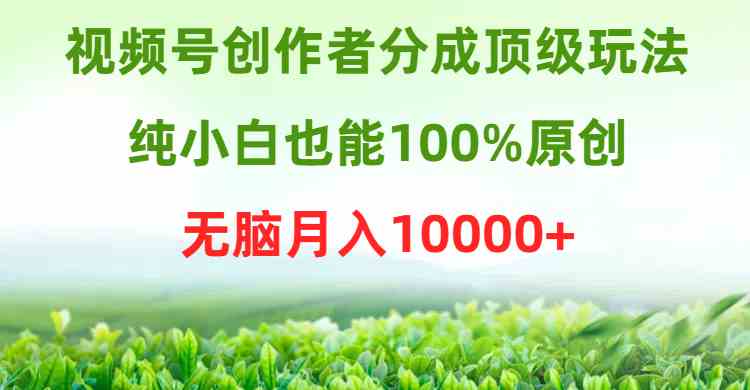 (9608期)视频号创作者分成顶级玩法,纯小白也能100%原创,无脑月入10000+-优优云网创