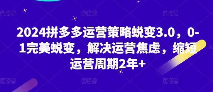 2024拼多多运营策略蜕变3.0,0-1完美蜕变,解决运营焦虑,缩短运营周期2年+-优优云网创