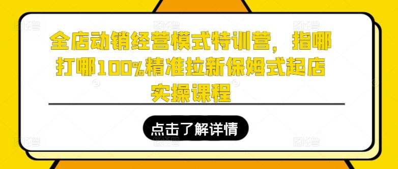 全店动销经营模式特训营,指哪打哪100%精准拉新保姆式起店实操课程-优优云网创