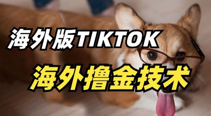 抖音海外版tiktok撸金技术,这个风口行业,赚钱真的不难【揭秘】-优优云网创