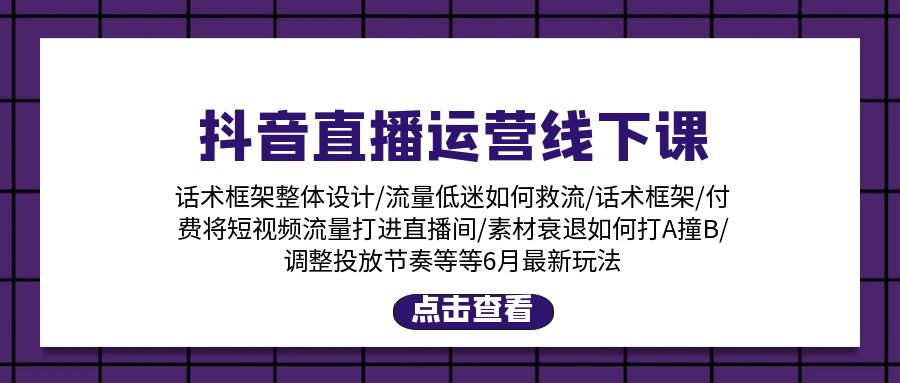 (11211期)抖音直播运营线下课:话术框架/付费流量直播间/素材A撞B/等6月新玩法-优优云网创