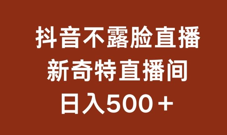 不露脸挂机直播,新奇特直播间,日入500+【揭秘】-优优云网创