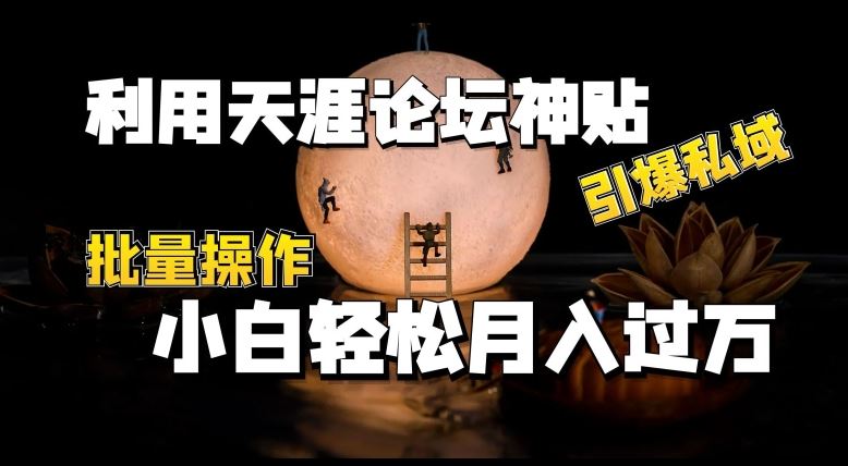 利用天涯论坛神贴,引爆私域,批量操作,小白轻松月入过w【揭秘】-优优云网创