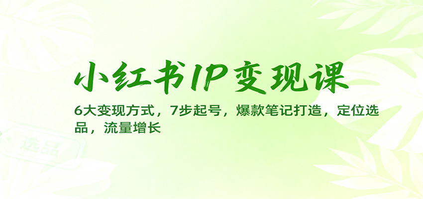 小红书IP变现课:6大变现方式,7步起号,爆款笔记打造,定位选品,流量增长-优优云网创