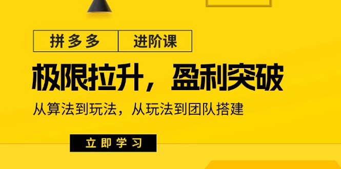 (11435期)拼多多·进阶课:极限拉升/盈利突破:从算法到玩法 从玩法到团队搭建-18节-优优云网创