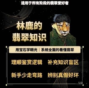 林鹿的翡翠知识,用宝石眼光,系统全面的看懂翡翠-优优云网创