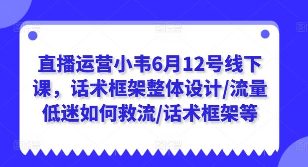 直播运营小韦6月12号线下课,话术框架整体设计/流量低迷如何救流/话术框架等-优优云网创