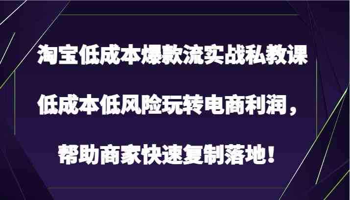 淘宝低成本爆款流实战私教课,低成本低风险玩转电商利润,帮助商家快速复制落地!-优优云网创