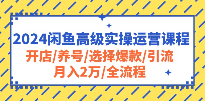 (10711期)2024闲鱼高级实操运营课程:开店/养号/选择爆款/引流/月入2万/全流程-优优云网创
