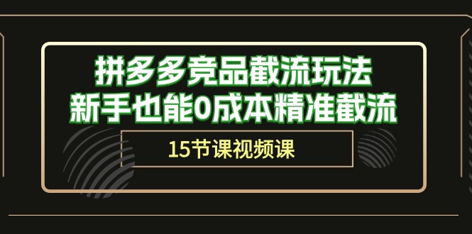 (10301期)拼多多竞品截流玩法,新手也能0成本精准截流(15节课)-优优云网创