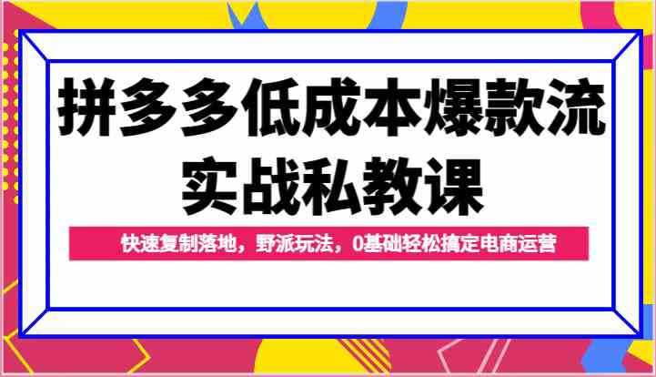 拼多多低成本爆款流实战私教课,快速复制落地,野派玩法,0基础轻松搞定电商运营-优优云网创