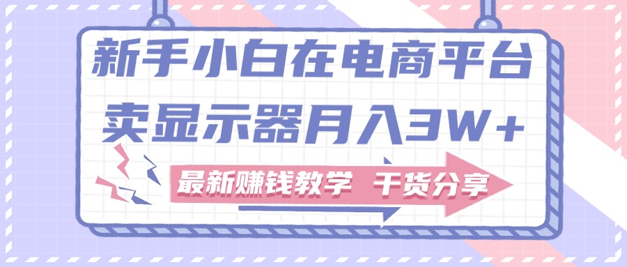 (11053期)新手小白如何做到在电商平台卖显示器月入3W+,最新赚钱教学干货分享-优优云网创