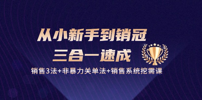 从小新手到销冠三合一速成:销售3法+非暴力关单法+销售系统挖需课 (27节)-优优云网创
