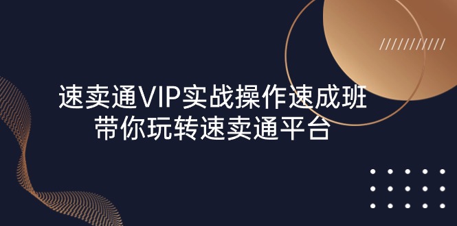 (10935期)速卖通 VIP实战操作-速成班,带你玩转速卖通平台(23节)-优优云网创