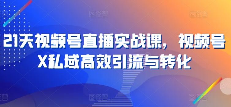 21天视频号直播实战课,视频号X私域高效引流与转化-优优云网创