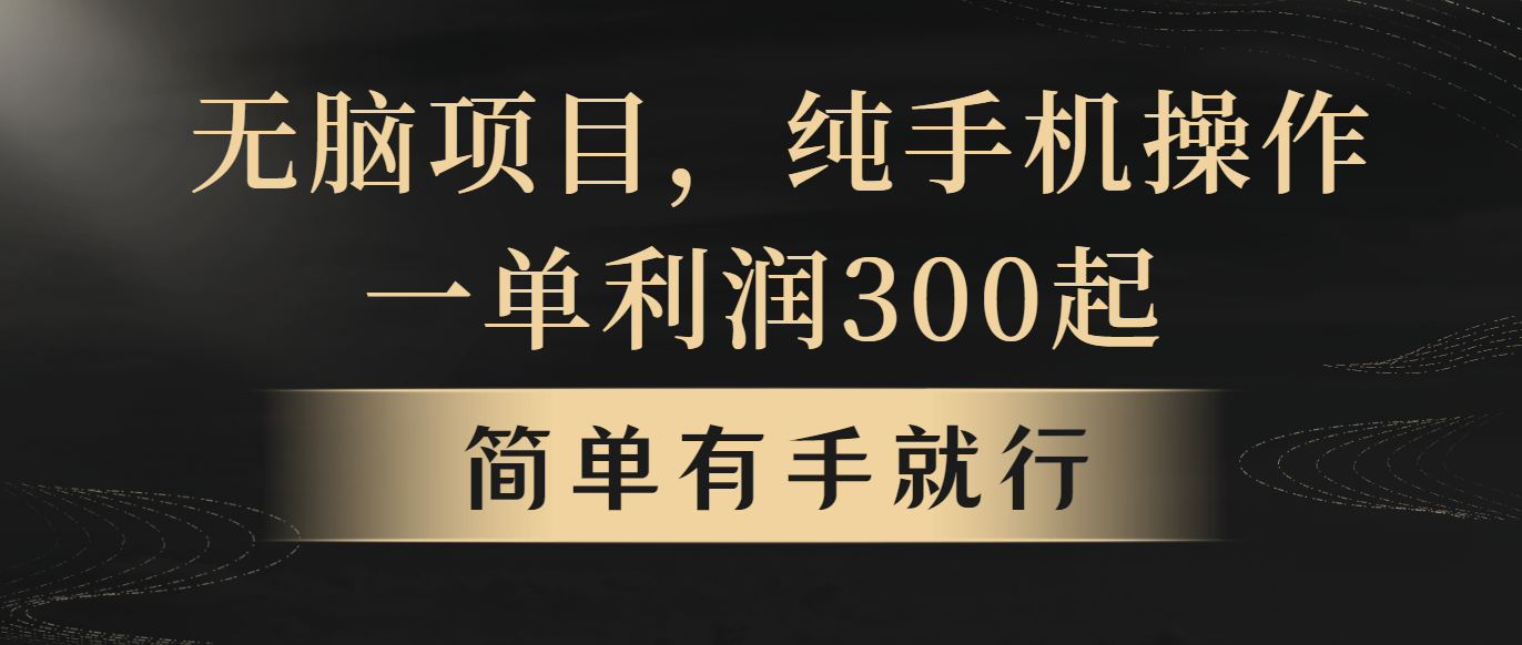 (10589期)无脑项目,一单几百块,轻松月入5w+,看完就能直接操作-优优云网创