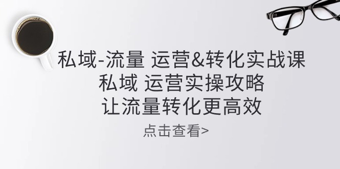 (10739期)私域-流量 运营&转化实操课:私域 运营实操攻略 让流量转化更高效-优优云网创