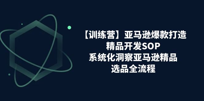 (11210期)【训练营】亚马逊爆款打造之精品开发SOP,系统化洞察亚马逊精品选品全流程-优优云网创