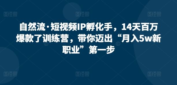 自然流·短视频IP孵化手,14天百万爆款了训练营,带你迈出“月入5w新职业”第一步-优优云网创
