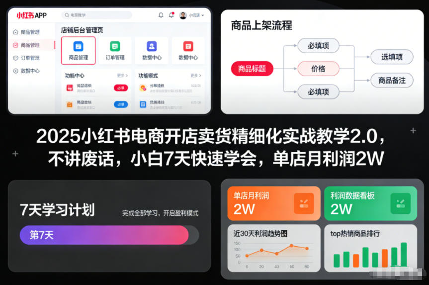 2025小红书电商开店卖货精细化实战教学2.0，不讲废话，小白7天快速学会，单店月利润2W-优优云网创