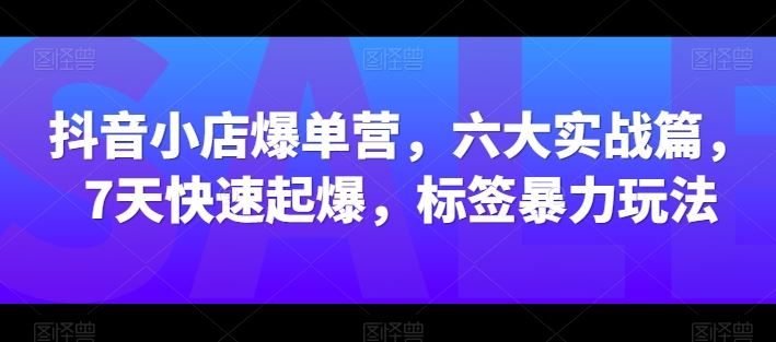 抖音小店爆单营,六大实战篇,7天快速起爆,标签暴力玩法-优优云网创