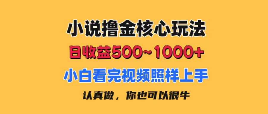 (11461期)小说撸金核心玩法,日收益500-1000+,小白看完照样上手,0成本有手就行-优优云网创