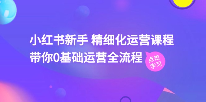 (11417期)小红书新手 精细化运营课程,带你0基础运营全流程(41节视频课)-优优云网创