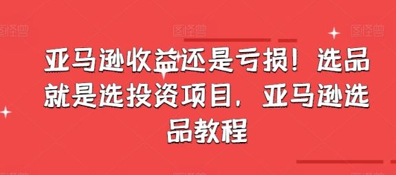 亚马逊收益还是亏损!选品就是选投资项目,亚马逊选品教程-优优云网创