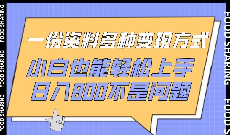 一份资料多种变现方式,小白也能轻松上手,日入800不是问题【揭秘】-优优云网创