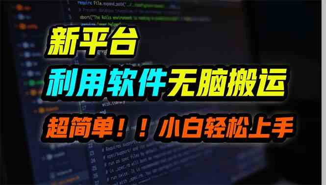 (9745期)新平台用软件无脑搬运,月赚10000+,小白也能轻松上手-优优云网创